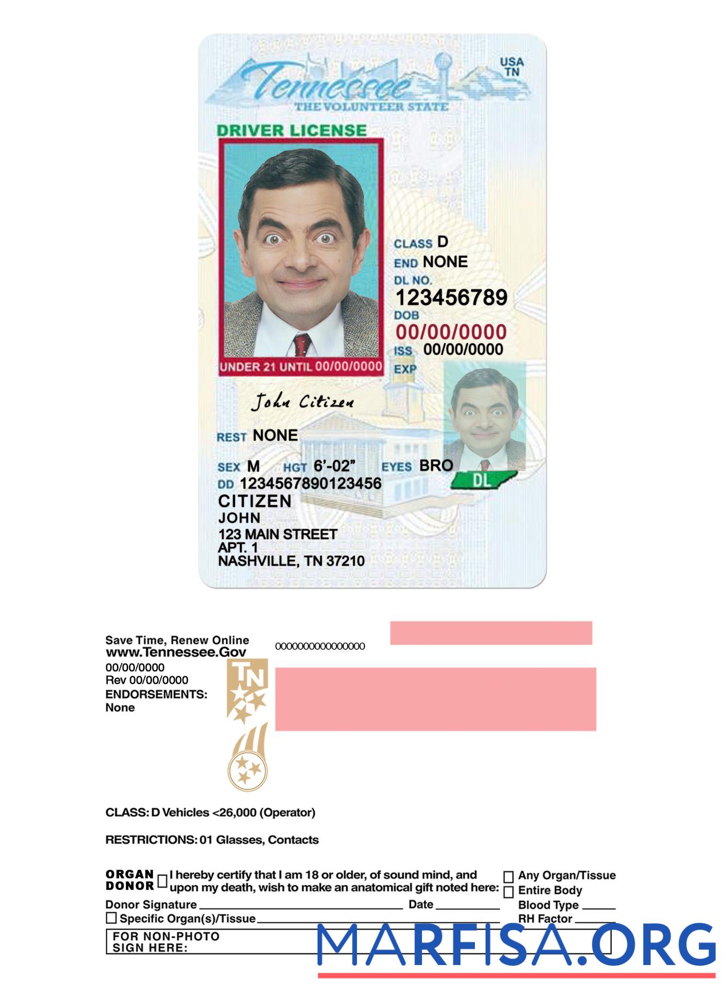 Blank USA Tennessee driving license under 21 real example